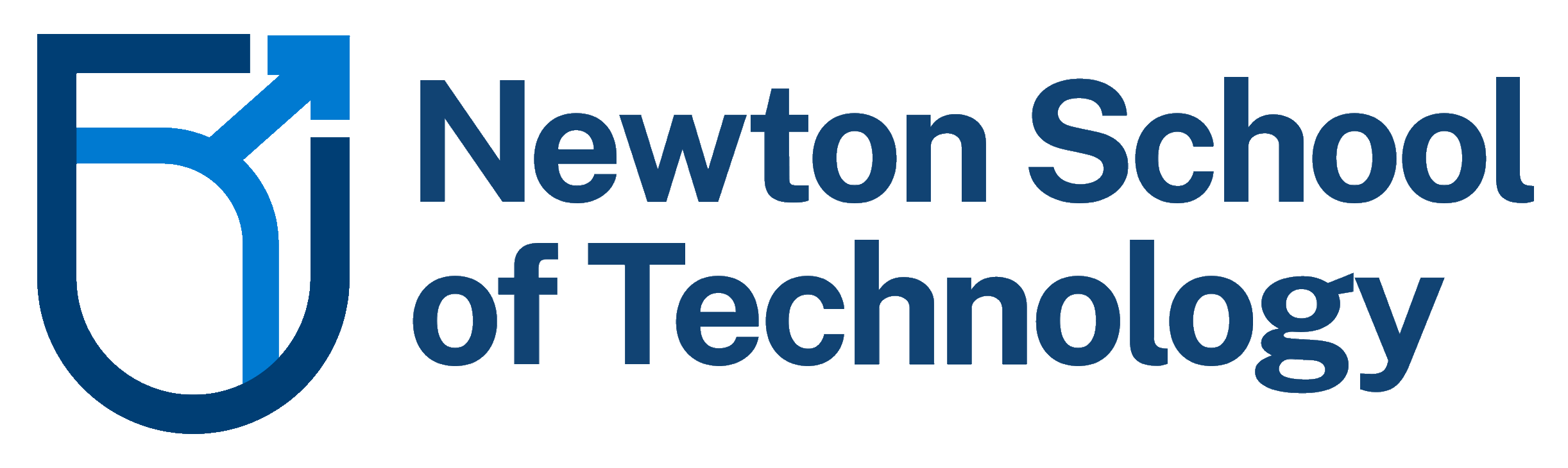 Newton School Of Technology